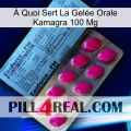 À Quoi Sert La Gelée Orale Kamagra 100 Mg 35